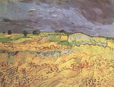 Vincent Van Gogh The Fields (nn04)